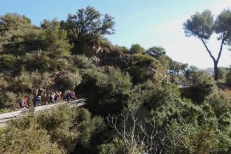 Stage Cambrils U17-U19