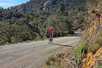 Stage Cambrils U17-U19