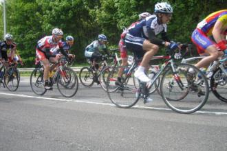 Triptyque Ardennais